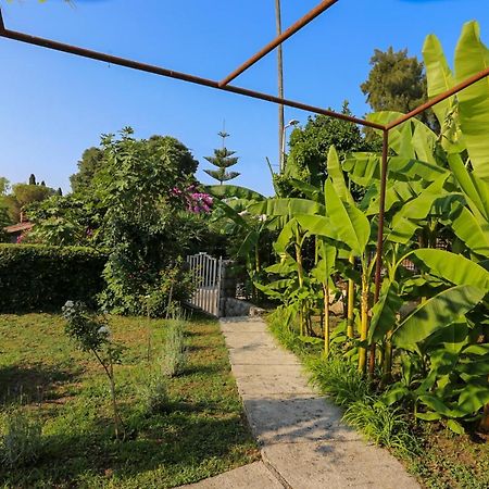 Smjestaj Djurdjevic Apartment Herceg Novi Bagian luar foto