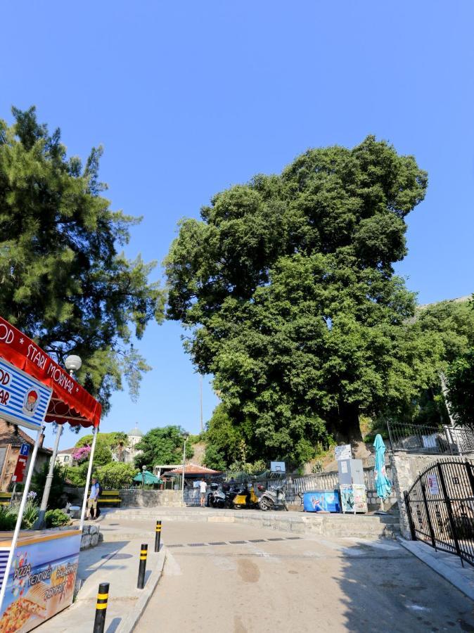 Smjestaj Djurdjevic Apartment Herceg Novi Bagian luar foto